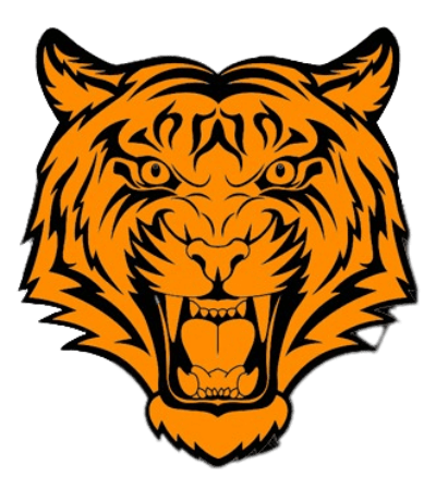 tiger-removebg-preview